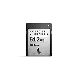 Sandisk ANGELBIRD Carte Cfexpress AV PRO Se Type B 512GB v4