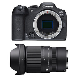 CANON EOS R7 + SIGMA 16-300mm f/3.5-6.7 DC OS Contemporary