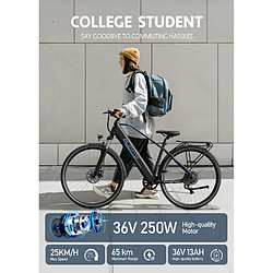 Avis Vélo électrique Adulte DUOTTS C29 Lite - Moteur 250W - batterie 36V 13Ah - SHIMANO 7 vitesses -Assistance 70KM VTT APP