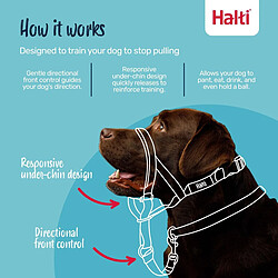 Muselière Company of Animals BURNT Orange 4