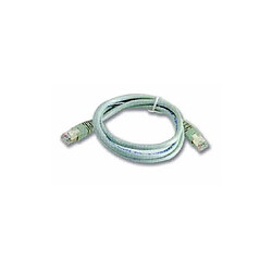 Câble rallonge UTP RJ45 FILS & CABLES 500307