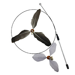 INF Teaser pour chat