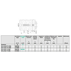 Fischer Chevilles à frapper nylon - Boîte de 100