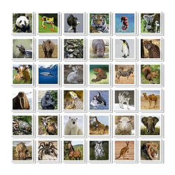 Educa borras Identic Animaux jeu de mémoire - 72 cartes