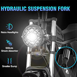 Avis Ridstar Vélo Électrique YVY Q20 - Moteur 1000W - Batterie Amovible 48V 20Ah - Autonomie 90km - Roue 20’’Gros Pneu