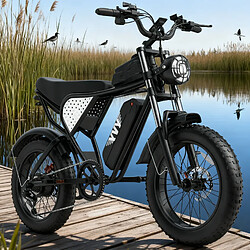 Acheter Ridstar Vélo Électrique YVY Q20 - Moteur 1000W - Batterie Amovible 48V 20Ah - Autonomie 90km - Roue 20’’Gros Pneu