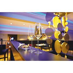 Chef et Sommelier Reveal Up - 6 flûtes 21 cl