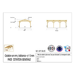 CPBF Carport Charpente deux pentes 500cmx1050cm, bois DOUGLAS Français (Charpente en bois-auvent-abri voiture), 53 m². Garantie 10 ans