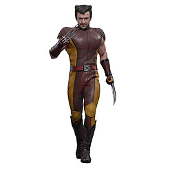 Hot Toys Figurine Marvel Wolverine - Brun et beige