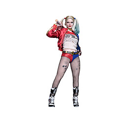 Hot Toys Figurine Harley Quinn DC Comics