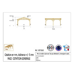CPBF Carport Charpente deux pentes 550 cm x 500 cm, bois DOUGLAS Français (Charpente en bois-auvent-abri voiture), 28 m². Garantie 10 ans