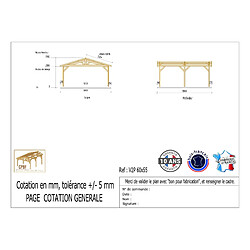 CPBF Carport Charpente deux pentes 600 cm x 550 cm, bois DOUGLAS Français (Charpente en bois-auvent-abri voiture), 33 m². Garantie 10 ans