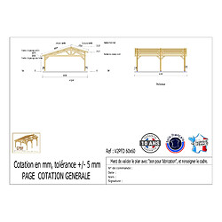 CPBF Carport deux pentes faitage décalé, 600cmx600cm, bois DOUGLAS Français (Charpente en bois-auvent-abri voiture), 36 M². Garantie 10 ans