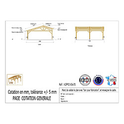 CPBF Carport deux pentes faitage décalé 650cmx700cm, Bois DOUGLAS Français (Charpente en bois-auvent-abri voiture), 46m². Garantie 10 ans