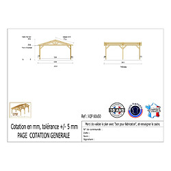 CPBF Carport Charpente deux pentes 600 cm x 500 cm, bois DOUGLAS Français (Charpente en bois-auvent-abri voiture), 30 m². Garantie 10 ans