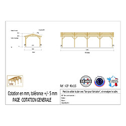 CPBF Carport deux pentes 400cmx1150cm, bois DOUGLAS Français (Charpente en bois-auvent-abri voiture), 46 m². Garantie 10 ans