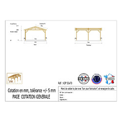 CPBF Carport Charpente deux pentes 550 cm x 700 cm, bois DOUGLAS Français (Charpente en bois-auvent-abri voiture), 39m². Garantie 10 ans