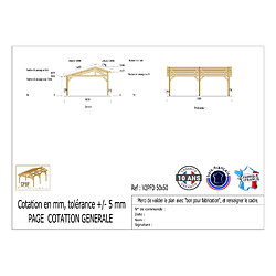 CPBF Carport deux pentes faitage décalé, 500cmx500cm, bois DOUGLAS Français (Charpente en bois-auvent-abri voiture), 25 m². Garantie 10 ans