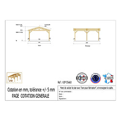 CPBF Carport Charpente deux pentes 550 cm x 600 cm, bois DOUGLAS Français (Charpente en bois-auvent-abri voiture), 33 m². Garantie 10 ans
