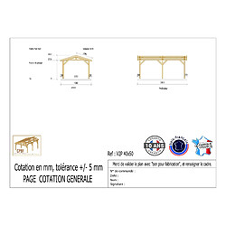 CPBF Carport deux Pentes 400cmx500cm, Bois DOUGLAS Français (Charpente en bois-auvent-abri voiture), 20 m². Garantie 10 ans