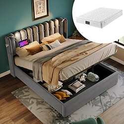 modfu Lit coffre 160x200 cm avec lampe et tête de lit, en velours, gris