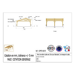 CPBF Carport deux pentes faitage décalé, 600cmx750cm, bois DOUGLAS Français (Charpente en bois-auvent-abri voiture), 45 m². Garantie 10 ans
