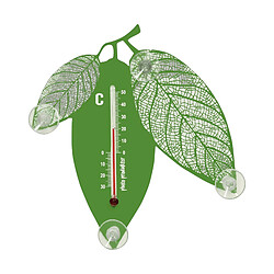 Pluto Feuille verte thermomètre