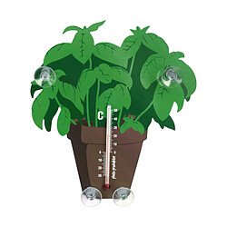 Pluto Basilic en pot thermomètre