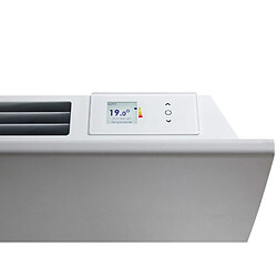 Radiateur à inertie