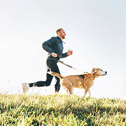 Toilinux Laisse main-libre pour le canicross et la canirando