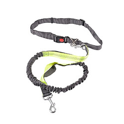 Toilinux Laisse main-libre pour le canicross et la canirando