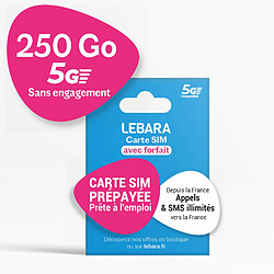 Carte SIM Prépayée 250 Go Lebara