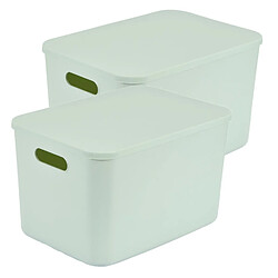 Homea Lot de 2 boîtes avec couvercle CHROMACASE - 15,5 L - Sauge