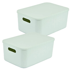 Homea Lot de 2 boîtes avec couvercle CHROMACASE - 10,5 L - Sauge
