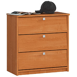 Akord Armoire à chaussures 3 portes basculantes - Aulne