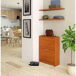 Akord Armoire à chaussures 2 abattants - Aulne pas cher