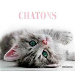 Chatons