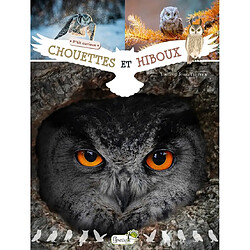 Chouettes et hiboux