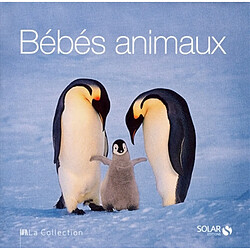 Bébés animaux