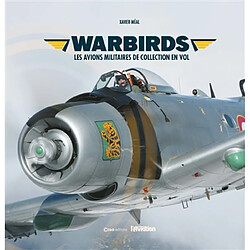 Wardbirds : les avions militaires de collection en vol