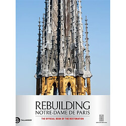Rebuilding Notre-Dame de Paris