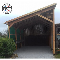 CPBF Carport une pente 300cmx950cm, bois DOUGLAS Français (Charpente en bois-auvent-abri voiture) 29 m². Garantie 10 ans