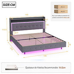 DZMDIP Lit 2 Personnes 140 X 200 cm avec Prise USB et Éclairage LED, Lit Flottant Rembourré avec Tête de Lit, Pieds Dissimulés, Lin, Gris