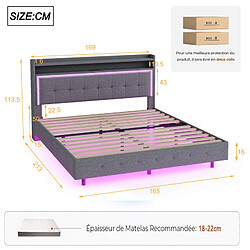 DZMDIP Lit 2 Personnes 160 X 200 cm avec Prise USB et Éclairage LED, Lit Flottant Rembourré avec Tête de Lit, Pieds Dissimulés, Lin, Gris