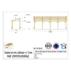 CPBF Carport une pente 300cmx1250cm, bois DOUGLAS Français (Charpente en bois-auvent-abri voiture) 38 m². Garantie 10 ans