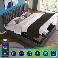 DZMDIP Lit coffre 140x200cm Lit double 2 personnes Lit rembourré avec app control LED, fonction de recharge USB Type C, gris (avec matelas)