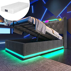 DZMDIP Lit coffre double 90x200 cm - Avec LED - Matelas inclus - USB Type-C - Gris
