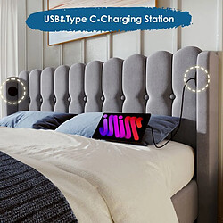 Avis DZMDIP Lit double 140x200 cm - Lit capitonné - Chargeur USB Type C - Cadre en lin gris - 2 places