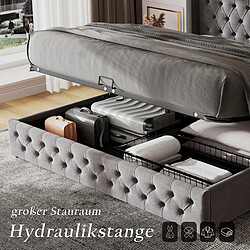 Acheter DZMDIP Lit coffre 180x200, lit double lit 2 personnes avec sommier et rangement, style Chesterfield, velours, gris