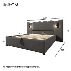 Acheter DZMDIP Lit coffre - 160x200 cm - Hydraulique - Lampe de lecture - Recharge USB Type-C